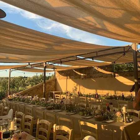 Tenuta La Borriana * Carmignano